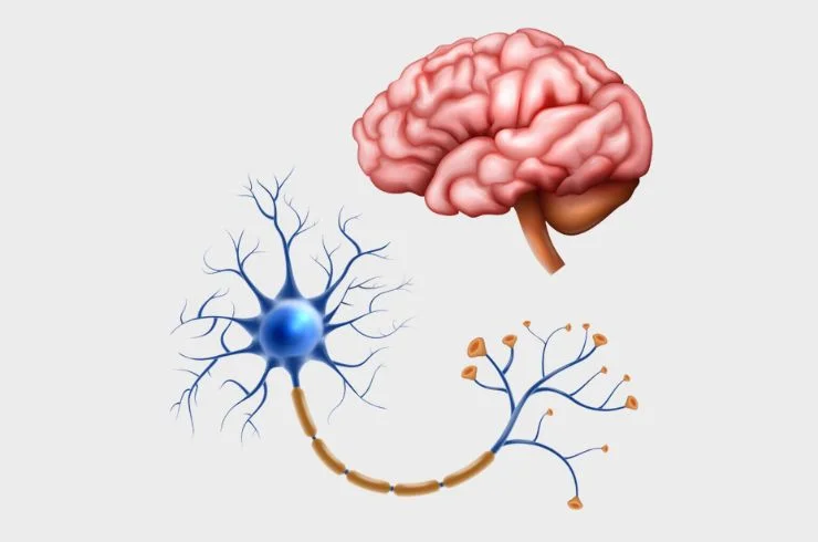 Neurovascular Disorders-2